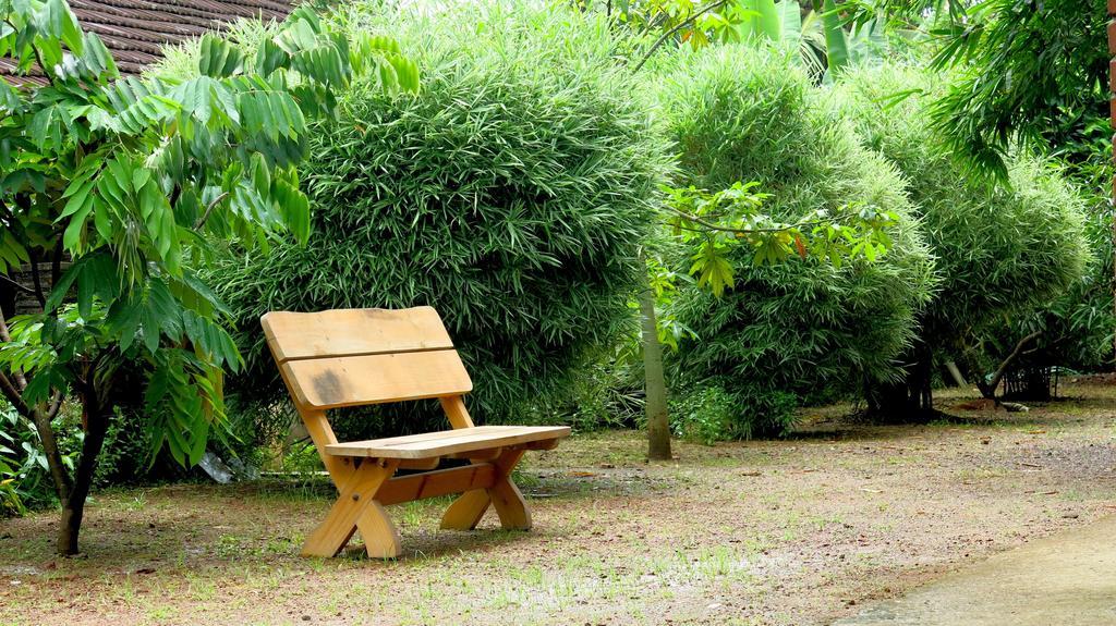 Clayfingers Art Cottage Thrissur Zewnętrze zdjęcie