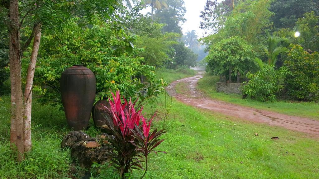 Clayfingers Art Cottage Thrissur Pokój zdjęcie