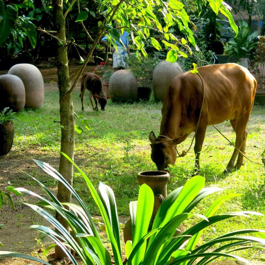 Clayfingers Art Cottage Thrissur Zewnętrze zdjęcie