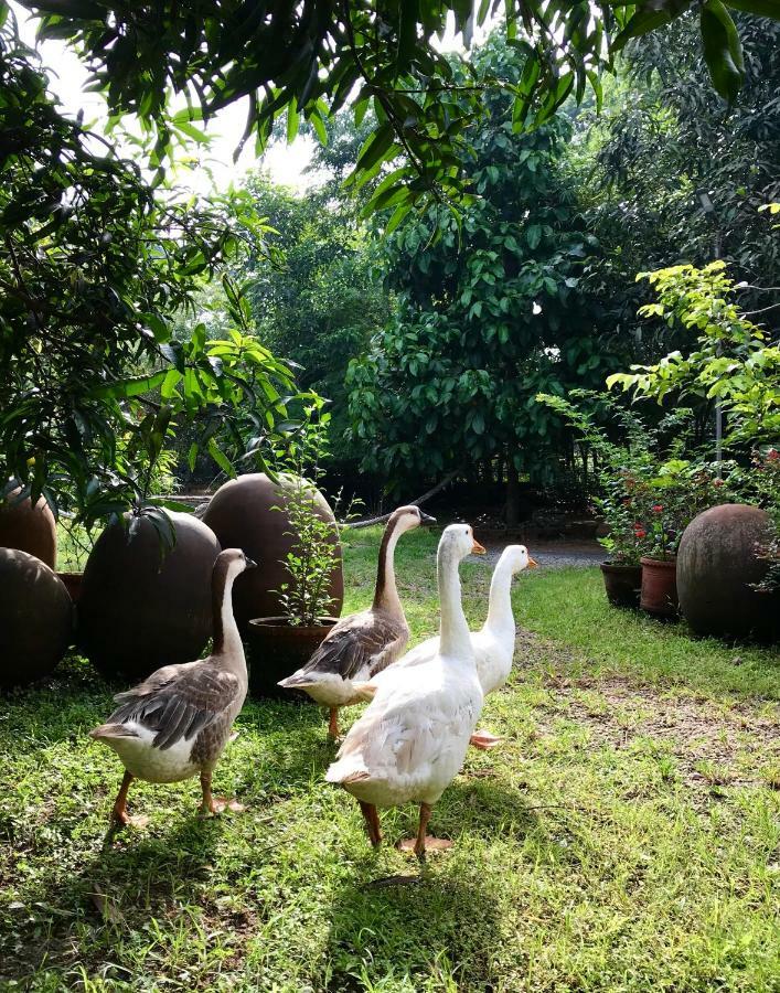Clayfingers Art Cottage Thrissur Zewnętrze zdjęcie